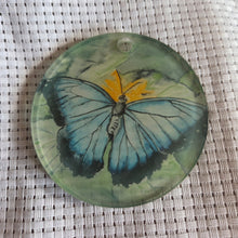 Load image into Gallery viewer, Round decorative acrylic ornament with a blue butterfly design on a textured background. Translucent
