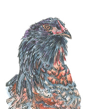 Load image into Gallery viewer, Canvas Chicken Head Artwork – Farmhouse Charm