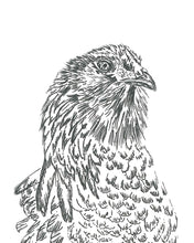 Load image into Gallery viewer, Canvas Chicken Head Artwork – Farmhouse Charm