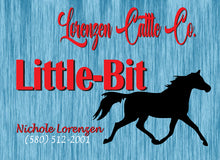 Load image into Gallery viewer, Show Pen with a Personalized Metal Sign for Your Horse