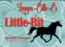 Load image into Gallery viewer, Horse Show Pen with a Personalized Metal Sign Circle Background