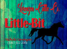 Load image into Gallery viewer, Show Pen with a Personalized Metal Sign for Your Horse Blue Green