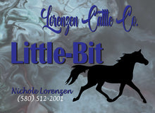 Load image into Gallery viewer, Personalized Horse Stall Metal Sign Marble Background