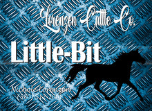 Load image into Gallery viewer, Show Pen with a Personalized Metal Sign for Your Horse