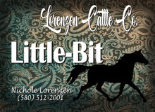 Load image into Gallery viewer, Personalized Horse Stall Metal Sign Paisley Background