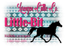 Load image into Gallery viewer, Personalized Horse Stall Metal Sign Southwestern Background