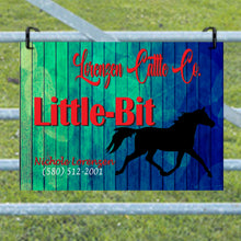 Load image into Gallery viewer, Show Pen with a Personalized Metal Sign for Your Horse Blue Green