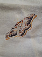 Load image into Gallery viewer, Butterfly Moth Tea Towel | 100% Cotton Farmhouse Kitchen Decor