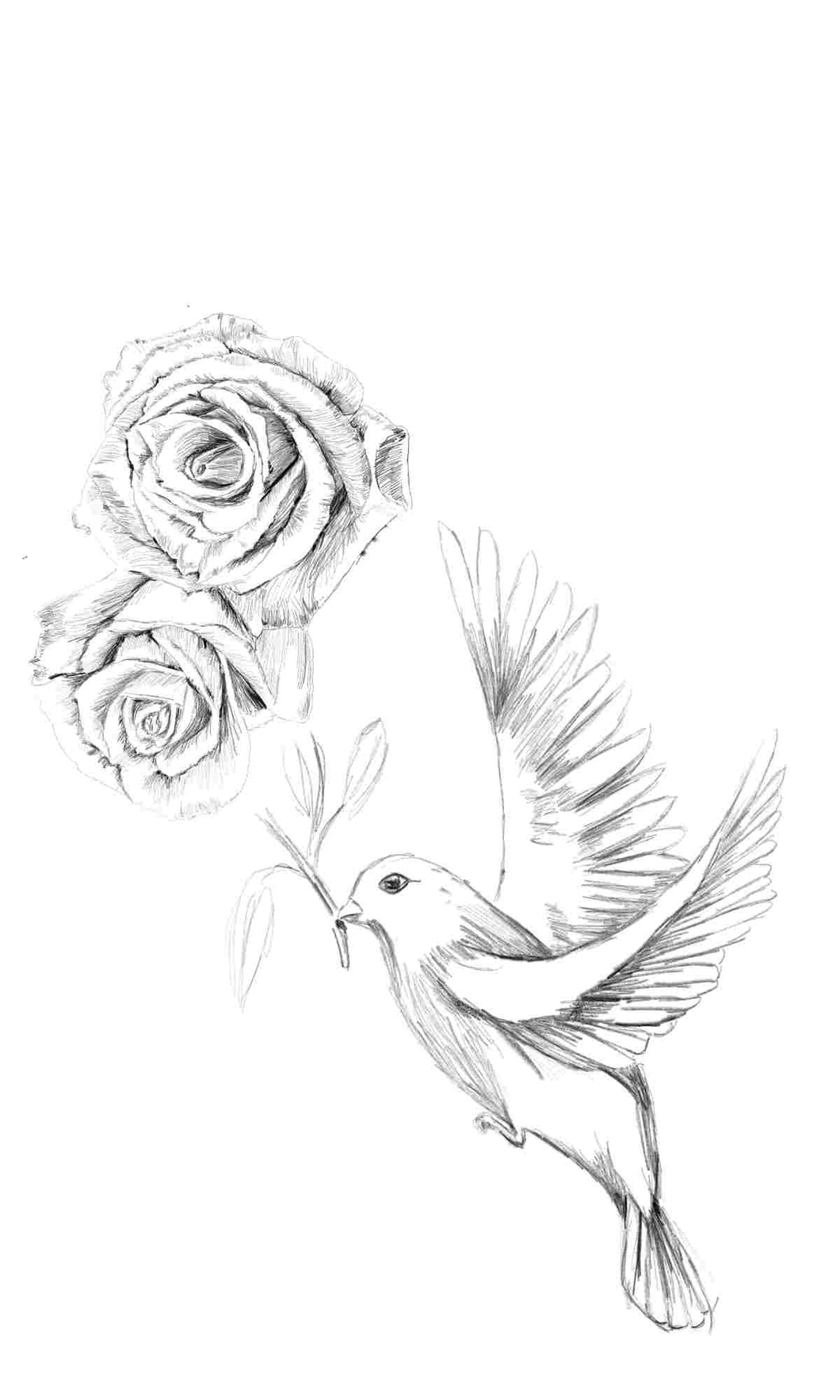 Bird and Rose Design