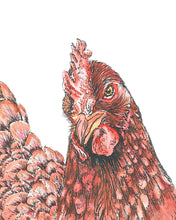 Load image into Gallery viewer, Canvas Chicken Head Artwork – Farmhouse Charm
