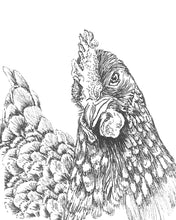 Load image into Gallery viewer, Canvas Chicken Head Artwork – Farmhouse Charm
