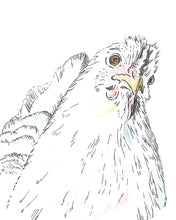 Load image into Gallery viewer, Canvas Chicken Head Artwork – Farmhouse Charm
