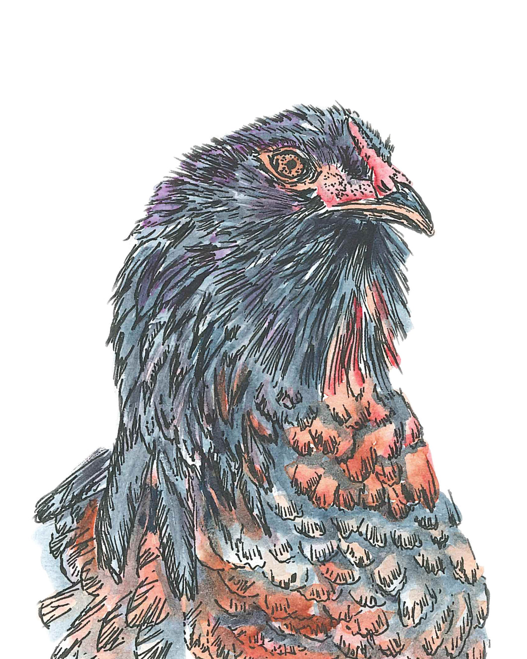 Canvas Chicken Head Artwork – Farmhouse Charm