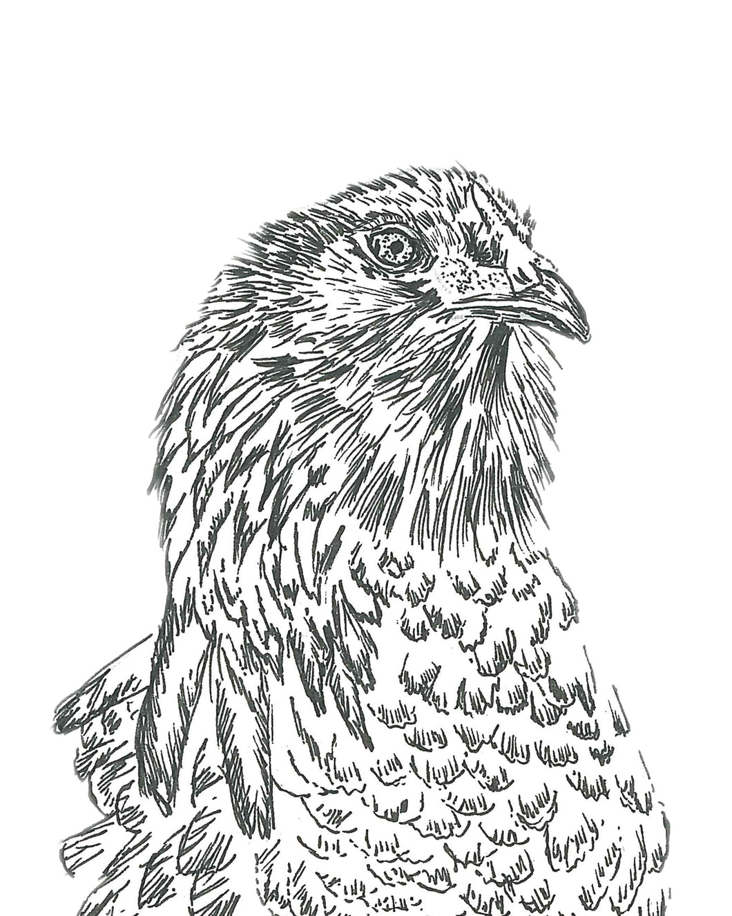 Metal Chicken Head Artwork – Farmhouse Charm with a Rustic Edge