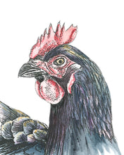 Load image into Gallery viewer, Canvas Chicken Head Artwork – Farmhouse Charm
