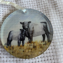 Load image into Gallery viewer, Round translucent decorative ornament featuring a bold Belted Galloway Cow Calf Pair design on a textured white background.
