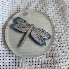 Load image into Gallery viewer, Round translucent decorative ornament featuring a bold dragonfly design on a textured white background.
