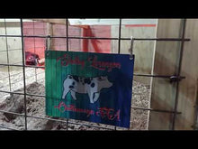 Load and play video in Gallery viewer, Show Pig Livestock Custom Sign with Circle Texture Background
