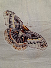Load image into Gallery viewer, Butterfly Moth Tea Towel | 100% Cotton Farmhouse Kitchen Decor
