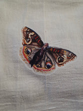 Load image into Gallery viewer, Butterfly Moth Tea Towel | 100% Cotton Farmhouse Kitchen Decor
